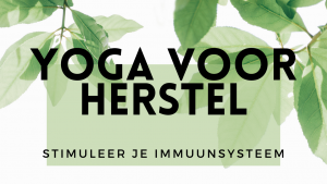 stimuleer je immuunsysteem yoga voor herstel eva noorda