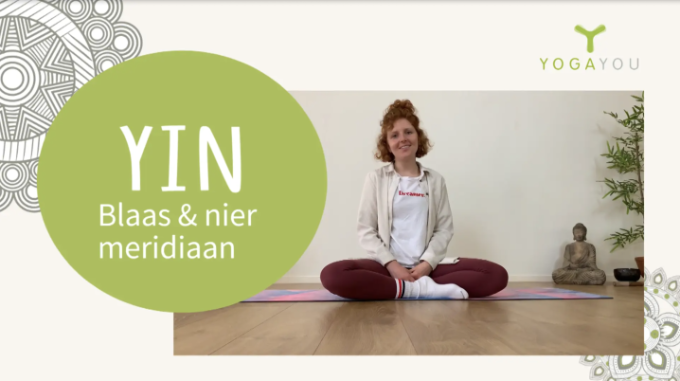 Yin voor de nier blaas meridiaan