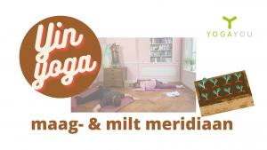 Yin Yoga voor Maag- en milt meridiaan